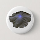 Suche nach petunien buttons Blumen