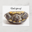 Suche nach schieben postkarten Niedlich