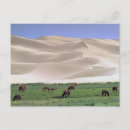 Suche nach gobi wüste postkarten Tier