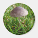 Suche nach grünes gras magnete Im freien