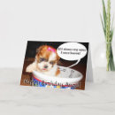 Suche nach shih tzu waren karten Für sie