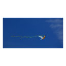 Suche nach kite poster Himmel