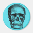 Suche nach totenkopf magnete Vintage
