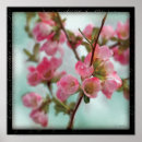 Suche nach quitten poster Natur