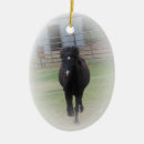Suche nach waliser pony Pferd