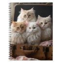Suche nach persisch kleine notizbücher Katze