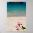 Suche nach 24x36 poster Foto