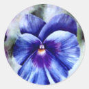 Suche nach pansy aufkleber Lila