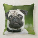 Suche nach headshot kissen Hund