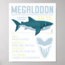 Suche nach megalodon poster Fisch