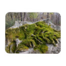 Suche nach grabsteine magnete Kopfstein