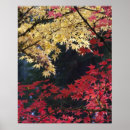 Suche nach ahornbaum poster Japanisch