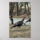 Suche nach truthähne poster Puten