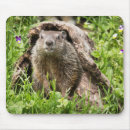 Suche nach baumstamm mousepads Wildtiere