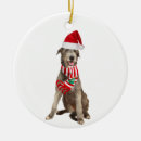 Suche nach irish wolfhound ornamente Santa