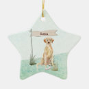 Suche nach labe ornamente Für alle