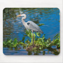 Suche nach blauer reiher mousepads Vögel
