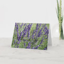 Suche nach aromatherapie karten Lavendel