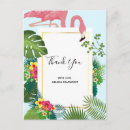 Suche nach palmblatt postkarten Rosa flamingo