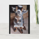 Suche nach jahr der ziege postkarten Jede person