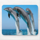 Suche nach delphin mousepads Schwimmen
