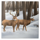 Suche nach schnee fliesen Wildtiere