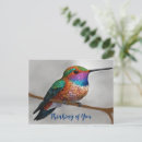 Suche nach vogelmalerei postkarten Kolibris
