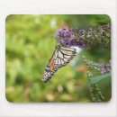 Suche nach lila schmetterling mousepads Jede person