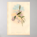 Suche nach gould poster Vintag