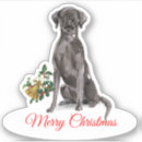 Suche nach klingelglocken Weihnachten