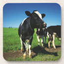 Suche nach weiden lassen untersetzer Landwirtschaft