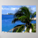 Suche nach palm poster Bahamas
