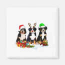 Suche nach berner sennenhund andere magnete Weihnachten