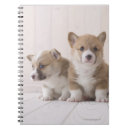 Suche nach corgi kleine notizbücher Tiere