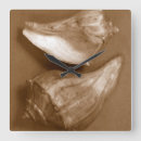 Suche nach muscheln wanduhren Natur