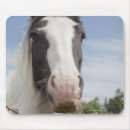 Suche nach tierköpfe mousepads Betrachten der kamera