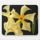 Suche nach star mousepads Weiß