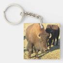 Suche nach bison schlüsselanhänger Herde