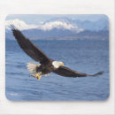 Suche nach im flug mousepads Raubvogel