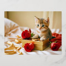 Suche nach romantische katze postkarten Romantik