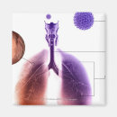 Suche nach menschlicher körper magnete Intern