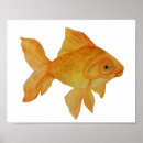 Suche nach goldfish poster Aquarell