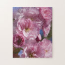 Suche nach japanische kirsche puzzle Rosa