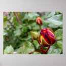 Suche nach rain poster Garden