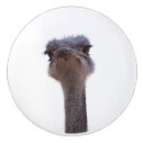 Suche nach vogel knäufe und griffe Niedlich