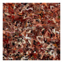 Suche nach kiefernnadeln poster Für alle