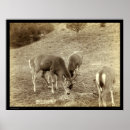 Suche nach heiße quellen poster Grabill