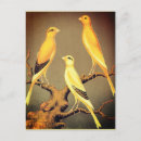 Suche nach vintage bücher postkarten Für sie/ihn