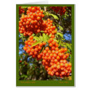 Suche nach orange beeren karten Natur