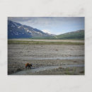 Suche nach denali nationalpark postkarten Natur